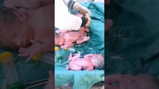 First time meet with cute babies 🤩 part 1 song love music newbornbaby baby cutebabies [upl. by Bernadina]