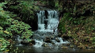 Silberbachtal und Waldhotel Silbermühle bei Horn Bad Meinberg im Teutoburger Wald [upl. by Destinee]