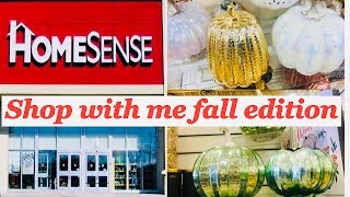 Shop with me HOMESENSE Canada  Fall Edition  Pumpkin Decor [upl. by Olraced]