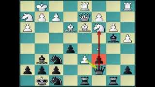 Universal Chess Opening against d4 [upl. by Schnapp]