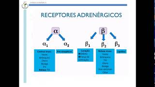 Agonistas Adrenérgicos Diretos [upl. by Euqinimod778]