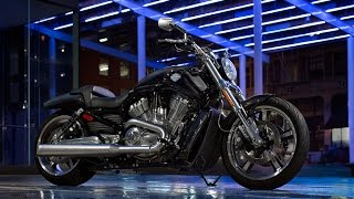 2016 Harley Davidson VRod Muscle  Test Ride and Review  South San Francisco [upl. by Lletnwahs]