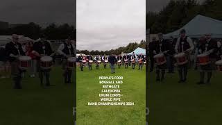 Peoples Ford Boghall and Bathgate Caledonia Pipe Band Drum Corps World Pipe Band Championships 2024 [upl. by Meli]