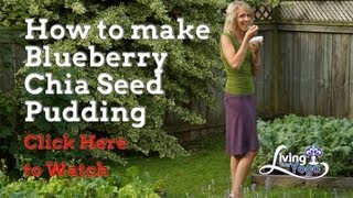 How to make Blueberry Chia Seed Pudding [upl. by Gardal640]