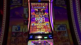 Double Arrow Trigger in Buffalo Ascension Super Stampede  Free Games buffaloslots slots [upl. by Brocklin]