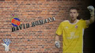 ROMANA GOALKEEPER [upl. by Lanae]