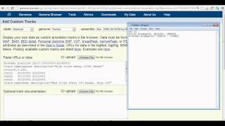 How to Add a Custom Track onto the UCSC Genome Browser [upl. by Trudi]