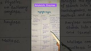 Amylolytic enzymes source and reaction physiology biology zoology shorts shortsfeed viral [upl. by Cheung]