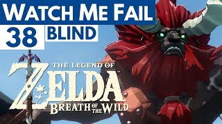 Watch Me Fail  The Legend of Zelda Breath of the Wild BLIND  38  quotLynelquot [upl. by Monafo]