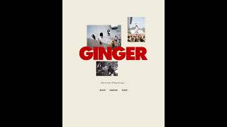 BROCKHAMPTON  GINGER WEBSITE SHOWCASE brockhampton ginger 2019 [upl. by Zamir]