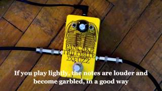 Bookworm Effects  Pancake Trilobite 2XFuzz [upl. by Maynard882]