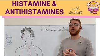 Histamine and Antihistamines Meds [upl. by Holms555]