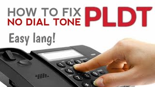 PLDT NO DIALTONE EASY LANG YAN [upl. by Nerrat582]