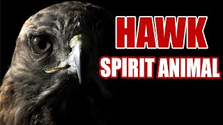 Hawk Spirit Animal – What Does It Mean When You See a Hawk [upl. by Bishop461]