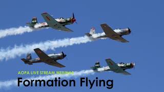 AOPA Fun Flying Series Session 3 Formation Flying [upl. by Davies983]