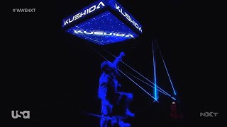 Kushida makes an Impressive entrance WWE NXT Aug 12 2020 [upl. by Engedi]