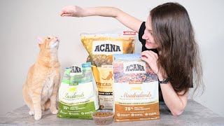 Acana Cat Food Review We Tested It [upl. by Ellehsyt844]