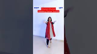 Chunari Chunari Dance Tutorial  Wedding Choreography  Laveena Ashish dancetutorial [upl. by Other]