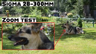 Sigma 28300mm Macro  Hyperzoom Lens Unboxing  Test [upl. by Jovi215]