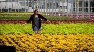 Ready for a Career in Floriculture or Horticulture [upl. by Burnight]