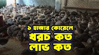 ১ হাজার কোয়েল পাখি পালনে মাসে খরচ কত টাকা এবং লাভ কত টাকা নভেম্বর ভার্শন [upl. by Aronos]