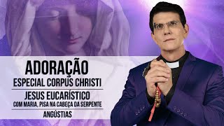 JESUS EUCARÍSTICO COM MARIA PISA NA CABEÇA DA SERPENTE  ANGÚSTIAS PadreManzottiOficial [upl. by Airamana]