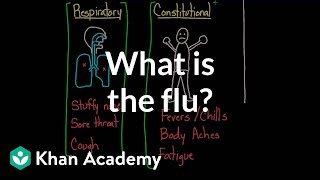 What is the flu  Infectious diseases  Health amp Medicine  Khan Academy [upl. by Nospmoht]