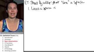 Epithelial tissue 3 Basic characteristics [upl. by Namus]
