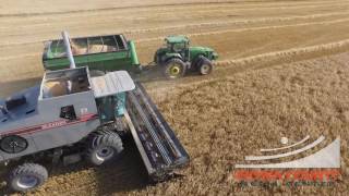 Gleaner Combine Stock Video [upl. by Korie108]