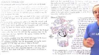 Introduction to Cardiovascular System [upl. by Mcdade381]