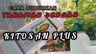 KITOSAN PLUS digunakan untuk pelbagai tanaman hiasan amp pokok buah [upl. by Ellerud]