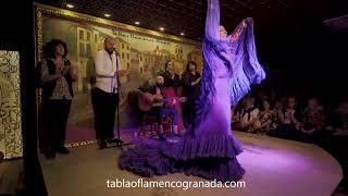 Espectáculos de Flamenco en Granada  Tablao Albayzin [upl. by Nanoc199]