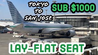 Cheapest Japanese Business Class Comfort under 1000  ZipAir Flight ZG030 NRTSJC Review [upl. by Llywellyn]