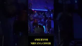 Aneurysm Nirvana Cover  Knights Pub  Sliver [upl. by Nnaitsirhc]