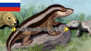 la PaleoPedia de dvinia 🇷🇺  el dvinio de Dvina Septentrional [upl. by Crist751]