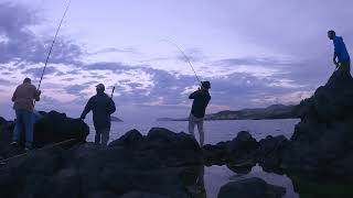 SPINNING INSHORE  TERCEIRA ISLAND [upl. by Nannette]