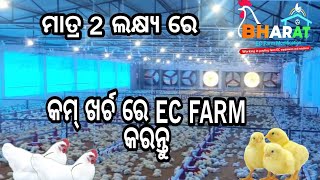 Ec farm in odisha Ec Poultry farm Ec equipment [upl. by Bilski517]