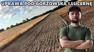 LUCERNA I MIESZANKA GORZOWSKA PO GROCHU I JĘCZMIENIU OZIMYM [upl. by Naloj782]