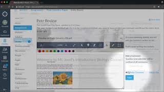 Peer Reviews Canvas Tutorial Video Series [upl. by Ahsenid470]