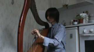 Comptine dun Autre Été on the Harp [upl. by Wylde]