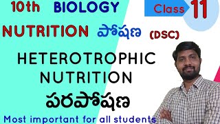 Heterotrophic Nutrition  10th biology  Nutrition lesson  Class 11 [upl. by Mina]