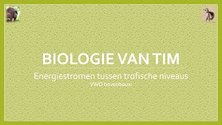 Biologie van Tim  Energiestromen tussen trofische niveaus bovenbouw [upl. by Acey]