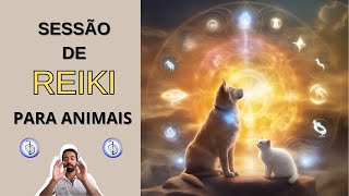 Sessão de Reiki à Distância para Animais A Cura que seu Pet Merece  ENVIO DE REIKI [upl. by Yedok]