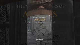 The Multiple Tiers of ANGELS from the Catholic Catechism [upl. by Russ]