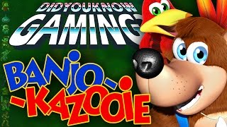 BanjoKazooie  Did You Know Gaming Feat TheCartoonGamer [upl. by Marlyn]