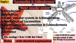 Locomotion in Echinodermetawater vascular systemEchinodermeta [upl. by Ludlew]