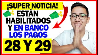 ¡Super Noticia Ingreso Solidario Ya están habilitados y en Banco giro 28 y 29  Sólo esperar día [upl. by Akihsan]