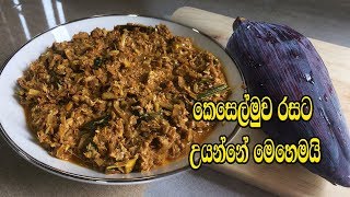 කෙසෙල්මුව රසට උයන්නේ මෙහෙමයි  KESELMUWA CURRY  KESELMUWA MALUWA  BANANA BLOSSOM RECIPE [upl. by Gaddi]