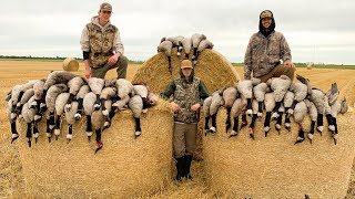 Goose Hunting 2019 55 Bird Beatdown [upl. by Efal]