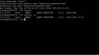 How to View Linux SCSI Devices Information  Linux Tricks [upl. by Hepsibah]